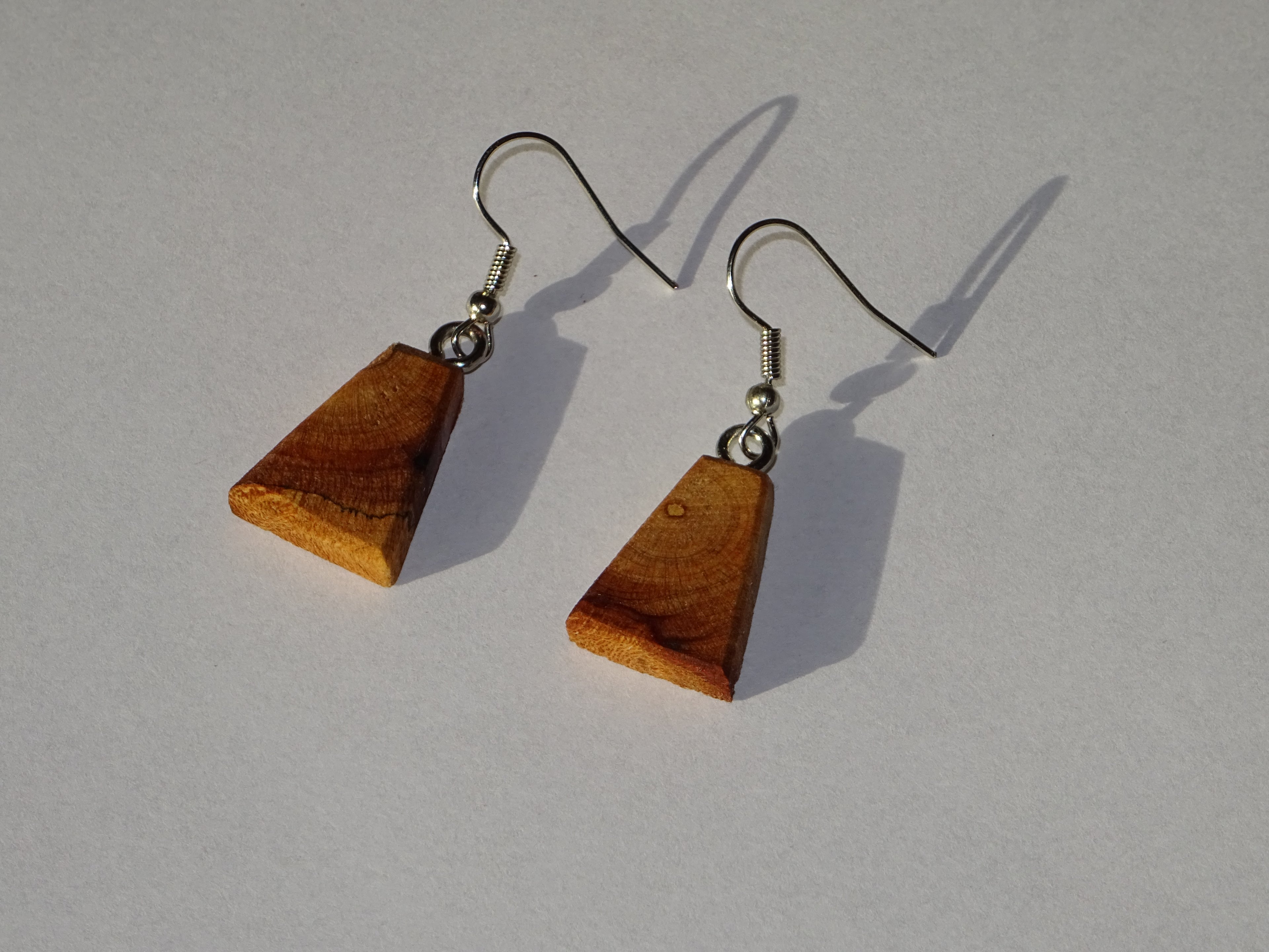 Trapezoid Earring